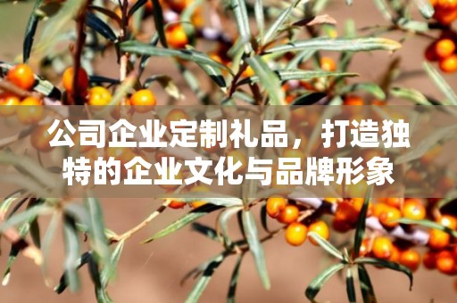 公司企业定制礼品，打造独特的企业文化与品牌形象